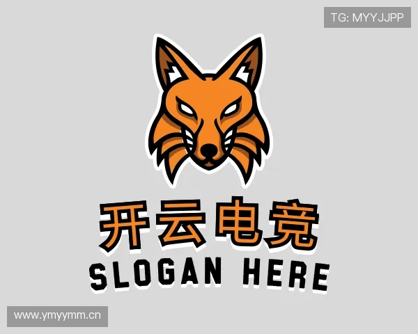 解读kaiyun开云电竞官网网站